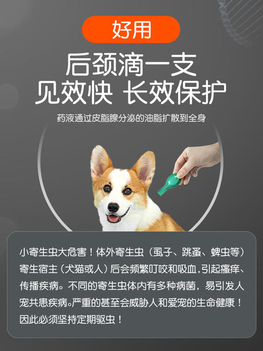 体外驱虫 小宠虱敌滴剂2.68ml*1管【大型犬】 商品图3