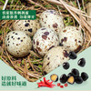 良品铺子 鹌鹑蛋卤蛋铁蛋五香味熟食休闲零食小袋独立包装年货零食128g 商品缩略图5
