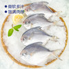 中粮凌鲜 东海小鲳鱼400g（4-5条） 昌鱼小平鱼 冷冻水产海鲜烧烤食材小海鱼 商品缩略图1