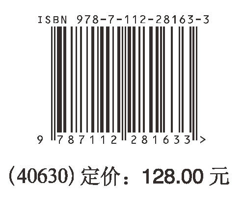 长江中下游典型城市建成区水环境综合治理关键技术与实践 商品图1