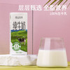 新希望  【新鲜日期】原态牧场纯牛奶200ml*24盒 整箱装 3.3g乳蛋白 商品缩略图1