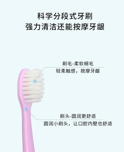 【中欧班列精选4支】日本蜜梨品牌 柔软细毛儿童牙刷（6-12岁） 商品图4