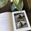 熊猫 福宝 姜爷爷著中文版写真 随书附赠2张小卡 现货 商品缩略图4