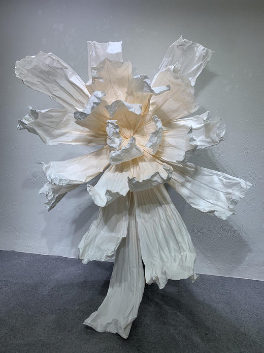 彩蝶【运费自理】 商品图4