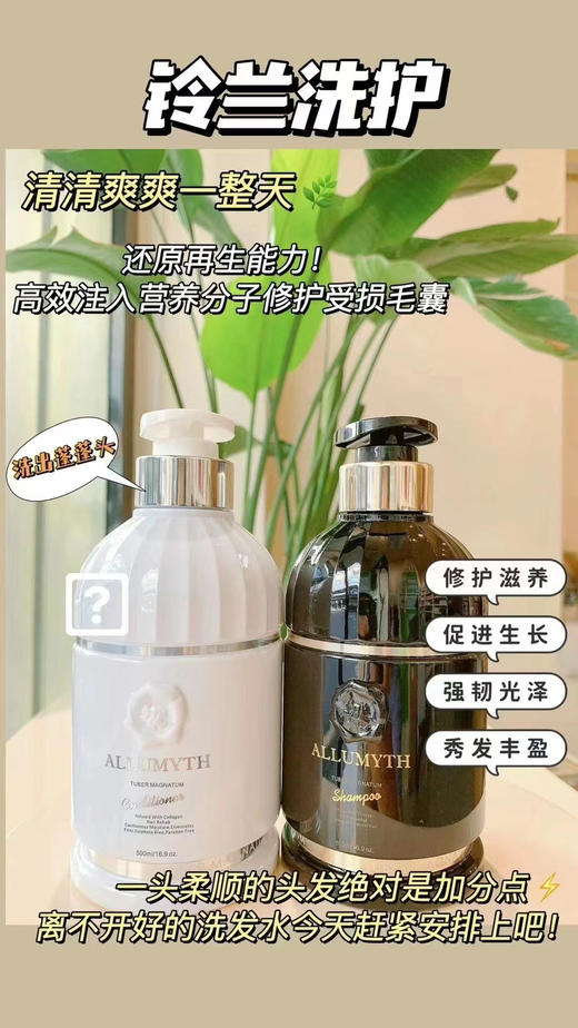 YAMII联合英国高端院线ALLUMYTH白松露空气感洗护套装 包邮  新包装 商品图1