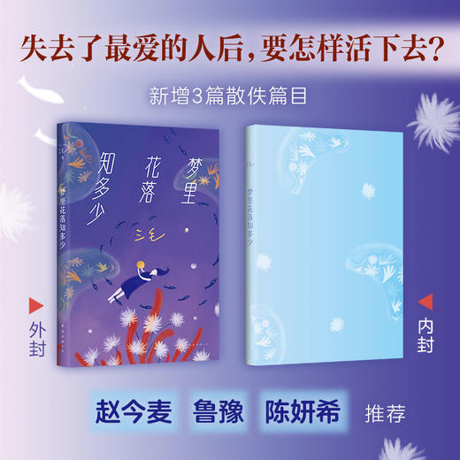 梦里花落知多少 商品图2