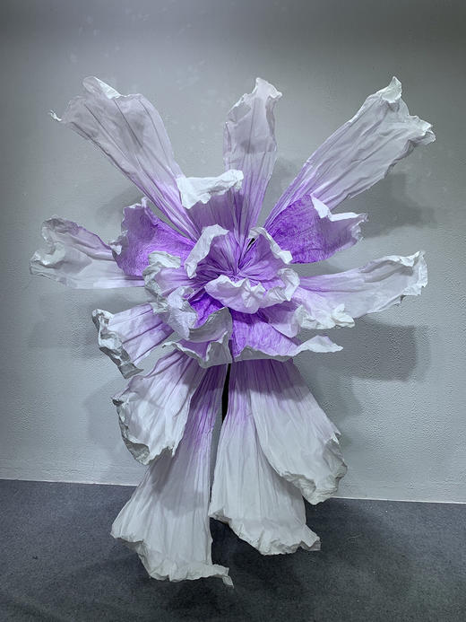 彩蝶【运费自理】 商品图5