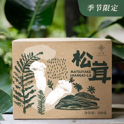 音昱x松赞松茸（多规格可选） 商品图0