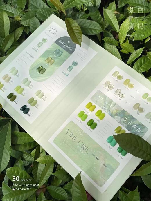 【秒杀价】茶白青提30色 商品图1