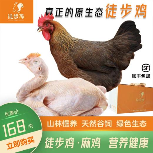 原生态徒步鸡 净重2.2斤左右/ 只；耒阳一年以上跑山土鸡、乌鸡 净重3斤左右/只 顺丰包邮 真空包装冷冻发货 商品图0