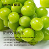 青提蜜恋·青提蜜瓜奶油蛋糕  | Green grape melon cream cake【如需外出请加购保温包】 商品缩略图4