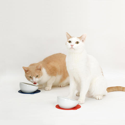 【HARIO】宠物碗陶瓷猫碗短毛猫猫食盆深口设计带凹凸纹路 商品图0