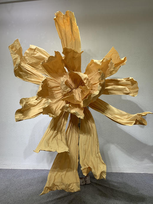 彩蝶【运费自理】 商品图3