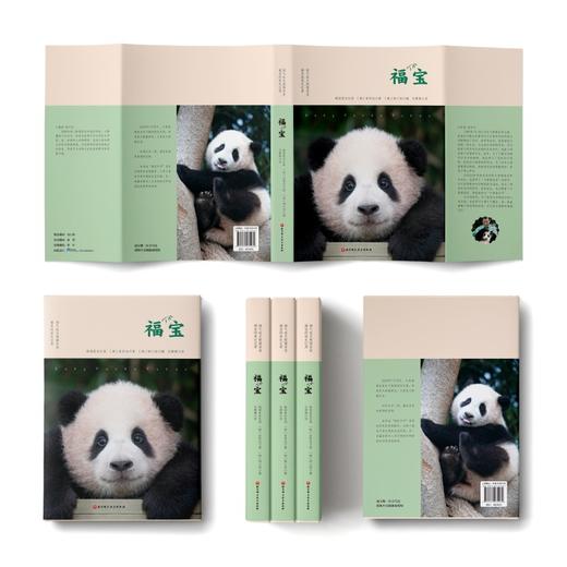 熊猫 福宝 姜爷爷著中文版写真 随书附赠2张小卡 现货 商品图1