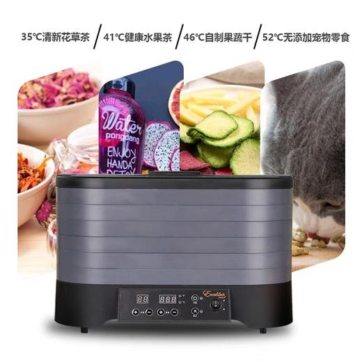 Excalibur干果机水果食物烘干机家用食品风干机蔬菜零食STL62B 商品图2