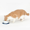 【HARIO】宠物碗陶瓷猫碗短毛猫猫食盆深口设计带凹凸纹路 商品缩略图1