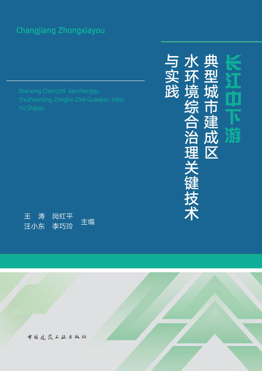 长江中下游典型城市建成区水环境综合治理关键技术与实践 商品图2