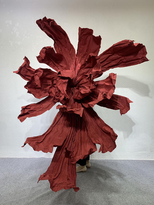 彩蝶【运费自理】 商品图13