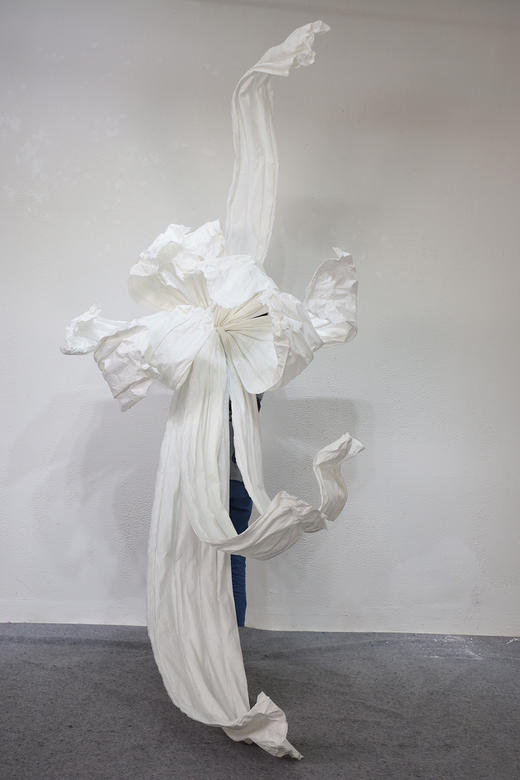 舞动【运费自理】 商品图1