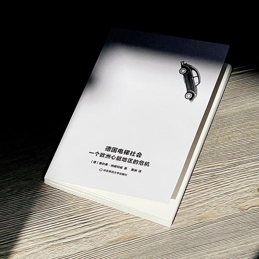 德国电梯社会 一个欧洲心脏地区的危机 奥利弗·纳赫特威著 商品图1