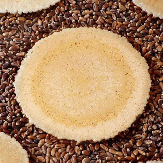 【全麦风吹饼干！不单独添加蔗糖】五谷粗粮，健康美味。轻松享受零脂肪，休闲小吃休闲馋嘴，零食整箱健康 商品图1