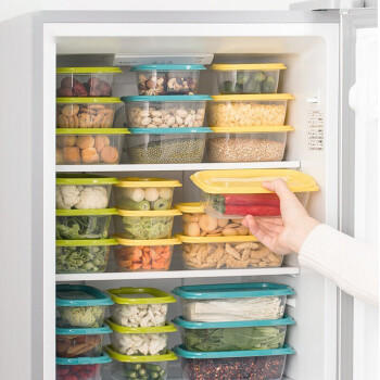 茶花冰箱保鲜盒 出游野餐盒饭盒塑料饺子冷冻盒密封盒830ml 3支装 /厨具 /餐具 /保鲜盒 商品图0