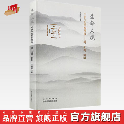 生命大观：中医气化结构理论——道、天地、阴阳【王朝阳】 商品图0