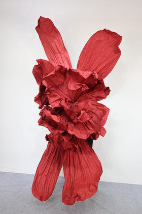 玉蝶【运费自理】