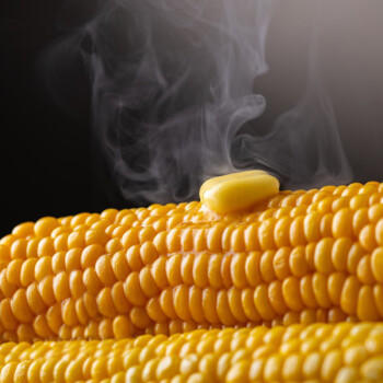 多美鲜（SUKI）荷兰进口 淡味 动物黄油 10g*20 烘焙食材 早餐 西餐 商品图3