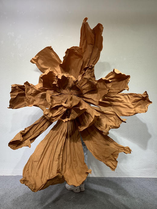 彩蝶【运费自理】 商品图7