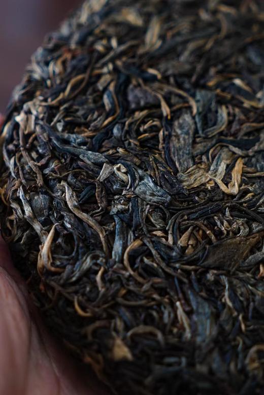 2015【昔归母树单株】限量专供！内部流通！私人珍藏！ 商品图1