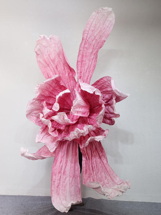 玉蝶【运费自理】 商品图6