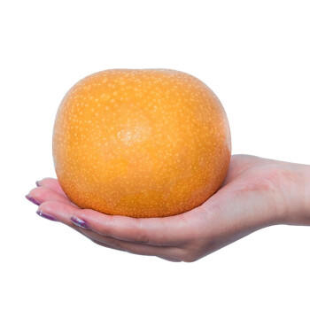 京鲜生 青青大地莱阳秋月梨 6斤装 6粒 单果450g+ 生鲜水果礼盒 商品图3