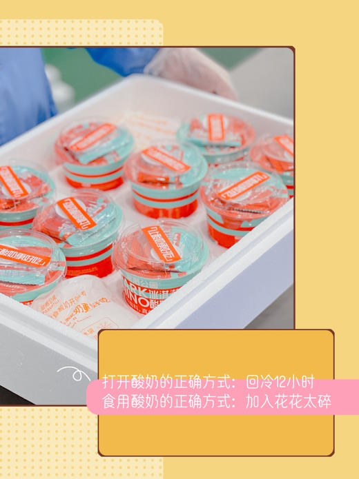 （预售下单2天后发货）尼诺公园冰淇淋酸奶126g*12盒（120g*6g坚果） 商品图9