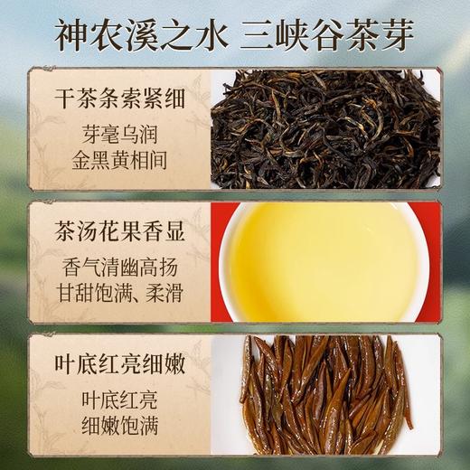 正山堂骏眉中国 巴东红珍硒茶 湖北特级红茶单芽茶叶花果香罐装50g/100g 商品图1