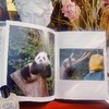 熊猫 福宝 姜爷爷著中文版写真 随书附赠2张小卡 现货 商品缩略图3