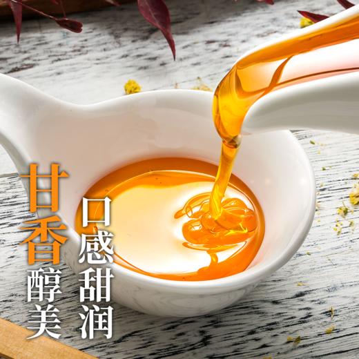 新疆归农土蜂蜜500g 商品图3