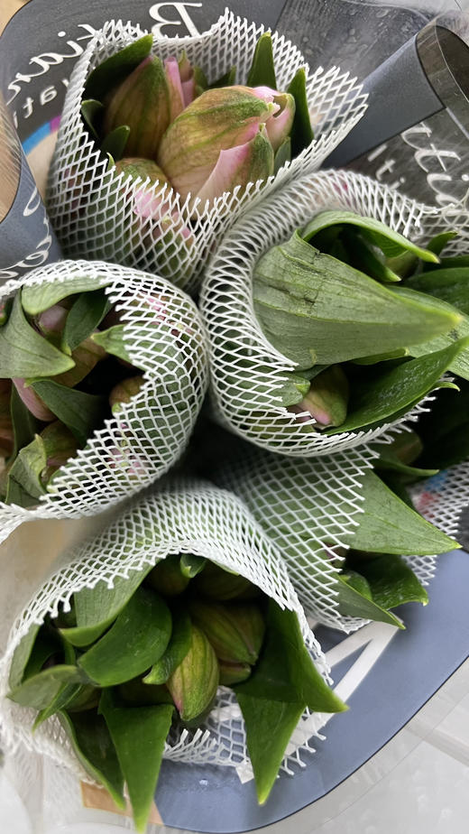 【进口六出】粉色 5枝/扎 商品图3