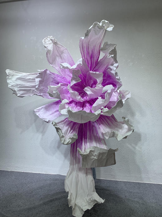 彩蝶【运费自理】 商品图8