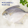 中粮凌鲜 东海小鲳鱼400g（4-5条） 昌鱼小平鱼 冷冻水产海鲜烧烤食材小海鱼 商品缩略图2