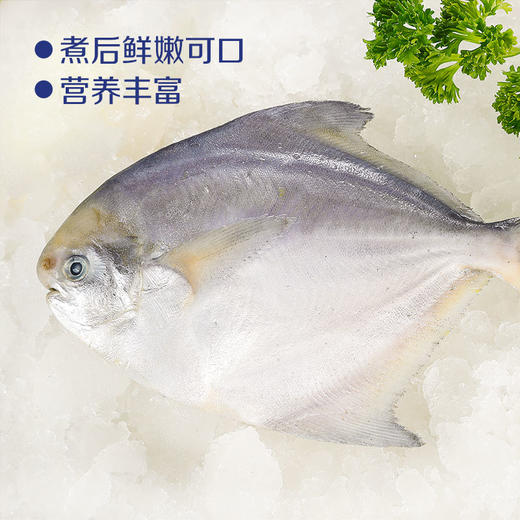 中粮凌鲜 东海小鲳鱼400g（4-5条） 昌鱼小平鱼 冷冻水产海鲜烧烤食材小海鱼 商品图2