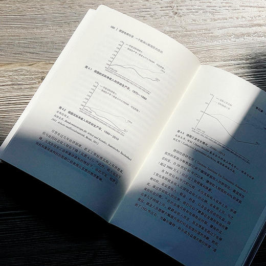 德国电梯社会 一个欧洲心脏地区的危机 奥利弗·纳赫特威著 商品图7