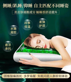 枕头中的爱马仕