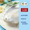 中粮凌鲜 东海小鲳鱼400g（4-5条） 昌鱼小平鱼 冷冻水产海鲜烧烤食材小海鱼 商品缩略图0