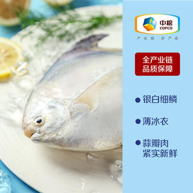 中粮凌鲜 东海小鲳鱼400g（4-5条） 昌鱼小平鱼 冷冻水产海鲜烧烤食材小海鱼