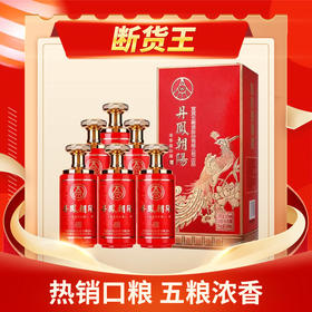 【推荐】五粮液分厂 丹凤朝阳 凤来仪（红） 浓香型 52度 500ml x6 整箱