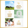 飞鹤1962金装益生菌牛奶粉400g中老年奶粉高蛋白维生素送父母 商品缩略图3