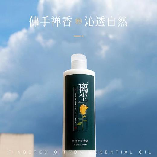 金手宝 离尘 佛手精油洗发水 植物提取温和配方 回归本真 330ml 商品图1