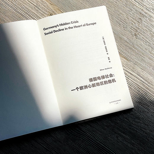 德国电梯社会 一个欧洲心脏地区的危机 奥利弗·纳赫特威著 商品图3