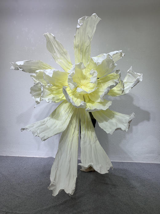 彩蝶【运费自理】 商品图1